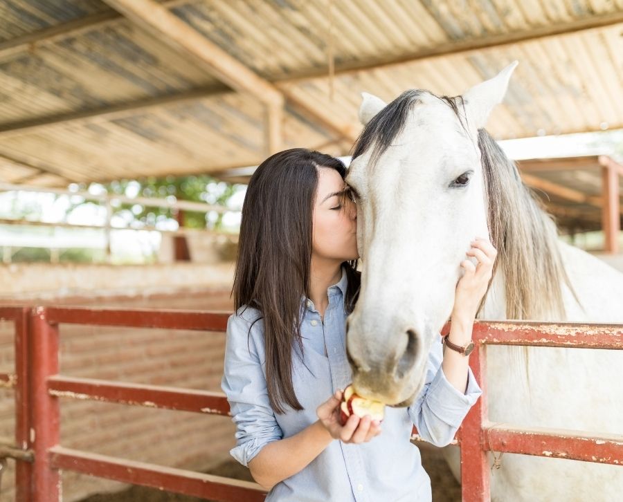 equinoterapia