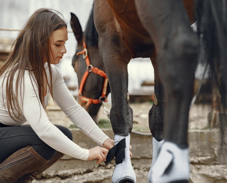 lesiones comunes en los caballos