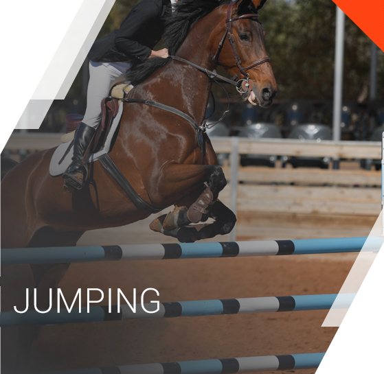 JUMPING equestrian discipline