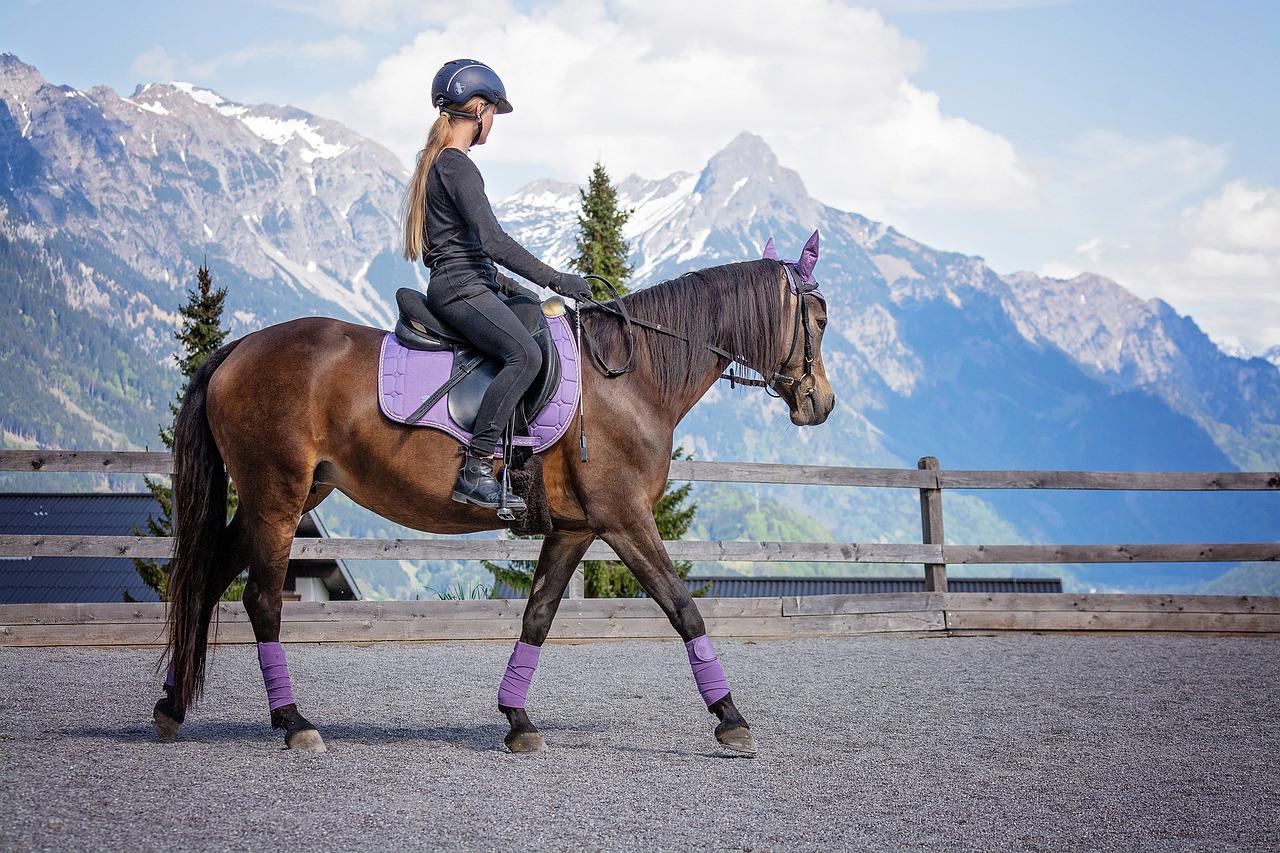 Tips for beginners in horse riding