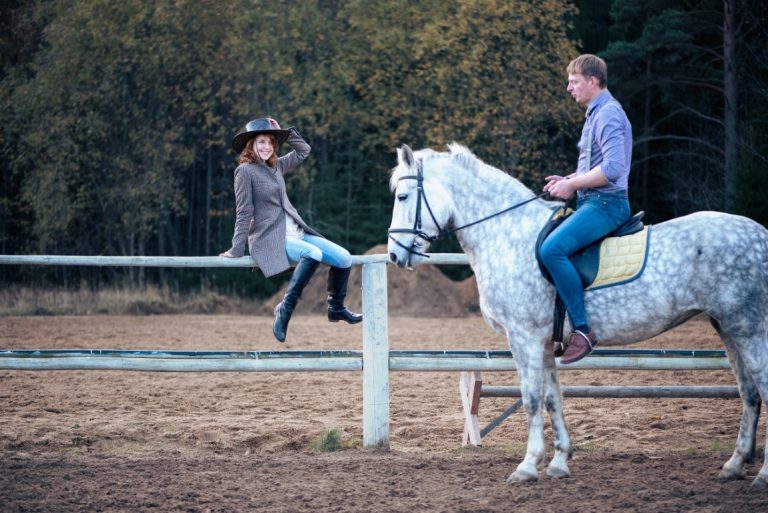 Essential equipment for horse riding: a complete guide - Equspaddock