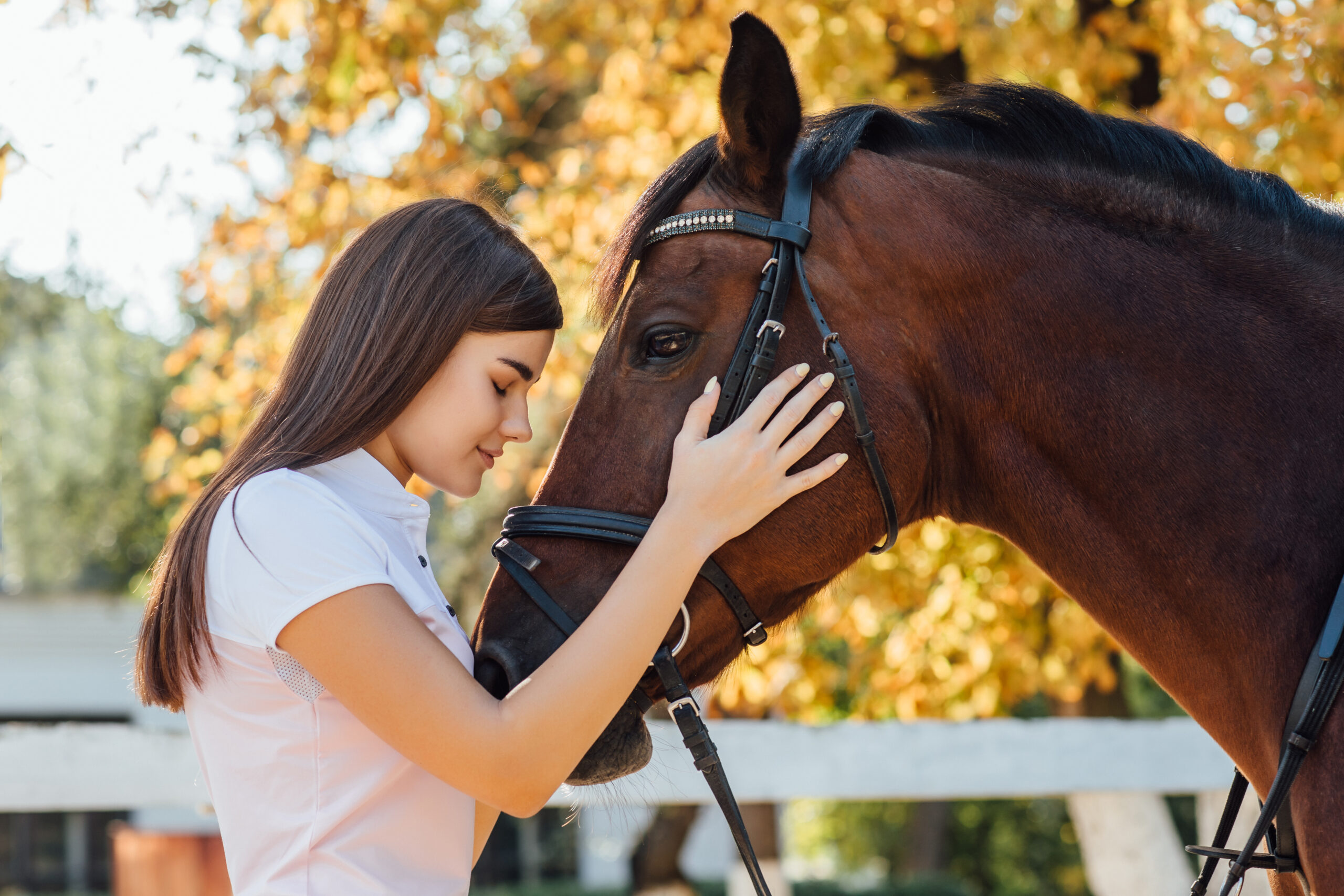 La importancia de cuidar a tu caballo